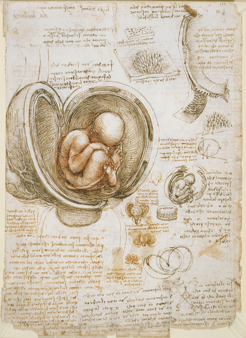 Antica Societa Segreta De Il Codice Da Vinci